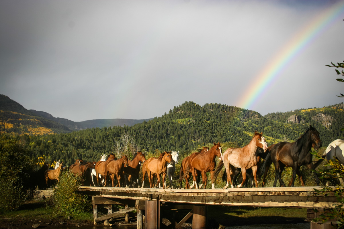 Colorado Dude Ranch Vacation Rainbow Trout Ranch