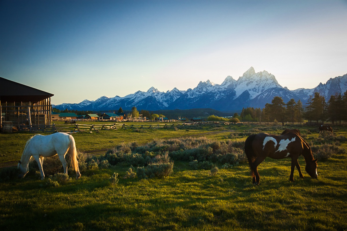 Wyoming Dude Ranch Travel Package  Triangle X Ranch