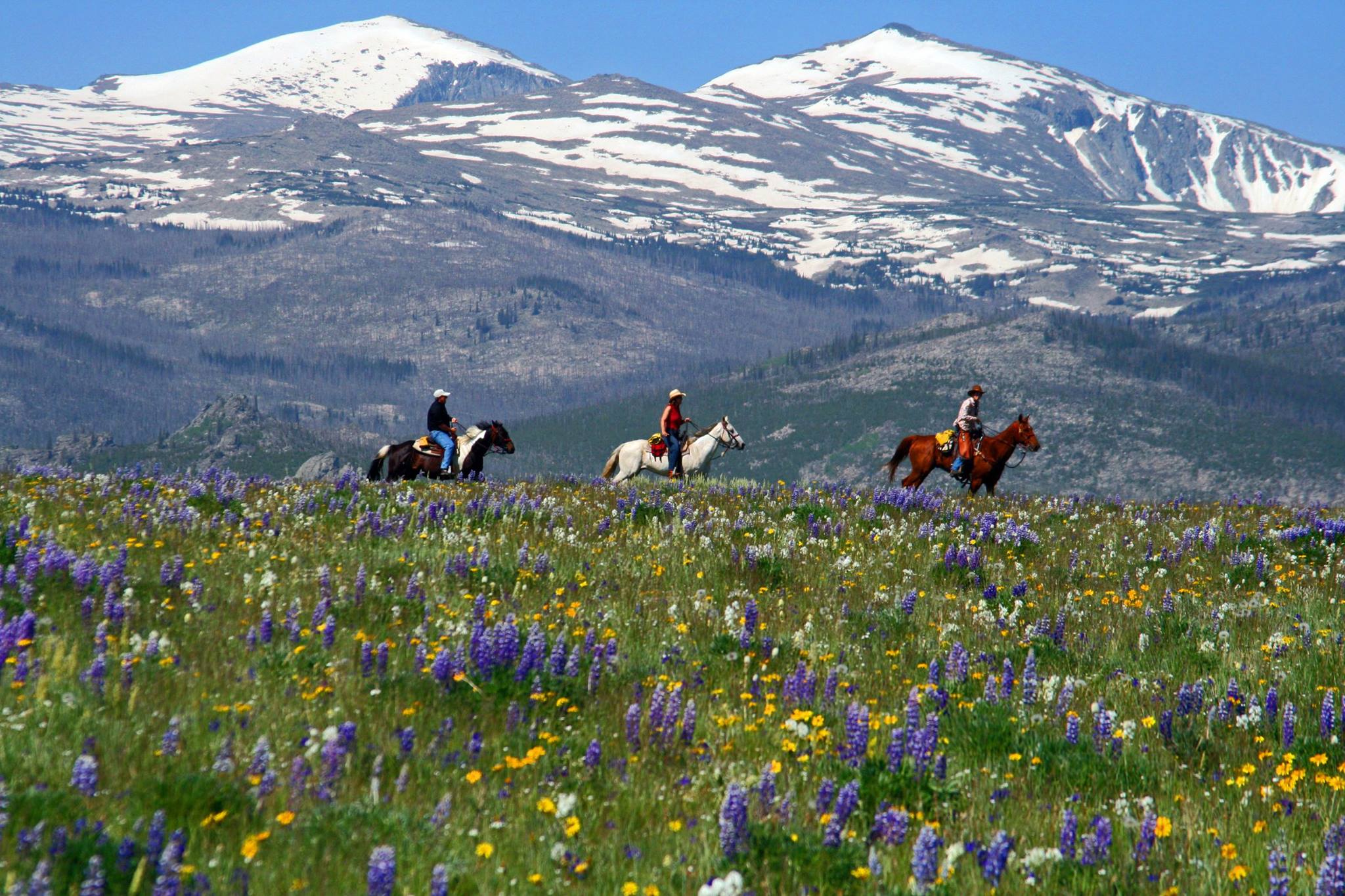 Wyoming Dude Ranch Vacations  Paradise Ranch