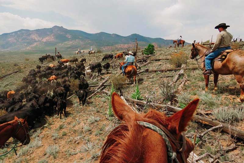 Lost Valley Ranch