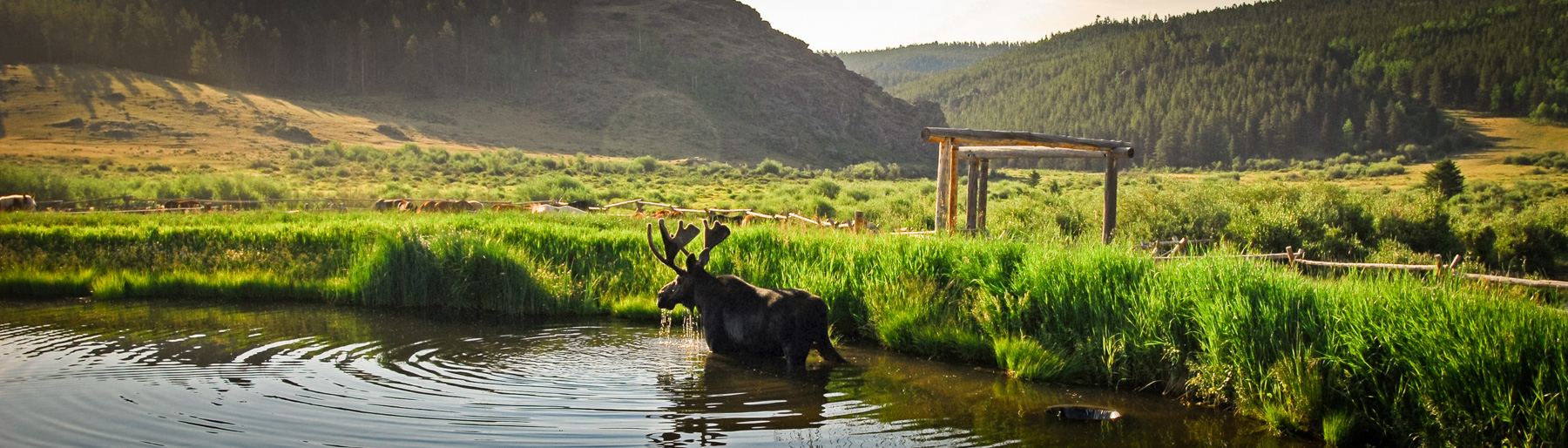 Home  Paradise Guest Ranch