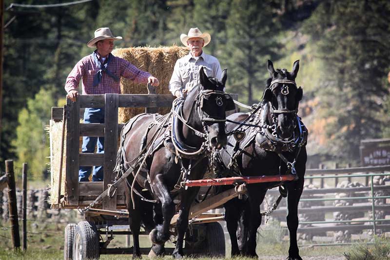 Rainbow Trout Ranch