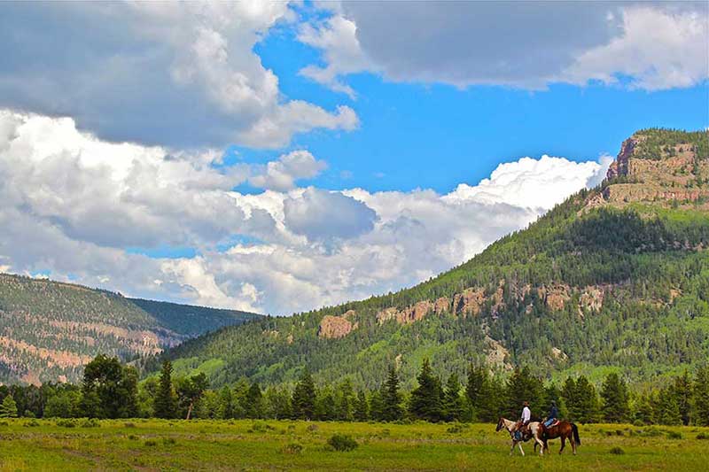 Rainbow Trout Ranch