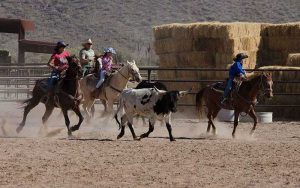 White Stallion Ranch