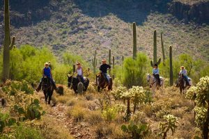 White Stallion Ranch