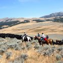 Dude Ranch Vacations Made Easy