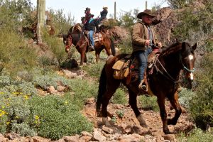 White Stallion Ranch Arizona