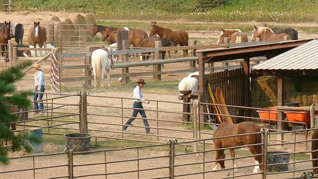 Bar W Guest Ranch Video