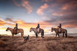 The Hideout Ranch Wyoming