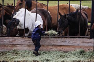 Paradise Ranch Wyoming