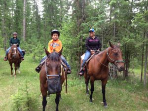 Three Bars Cattle and Guest Ranch