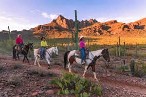 Riding at White Stallion Ranch while social distancing during COVID - 19