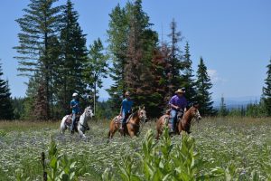 Revive your physical well being at Western Pleasure Ranch