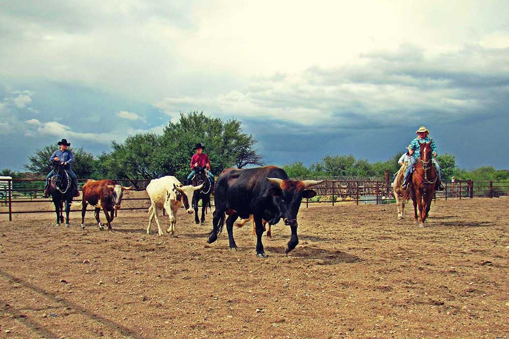 Tombstone Monument Ranch