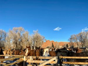 The Hideout Ranch